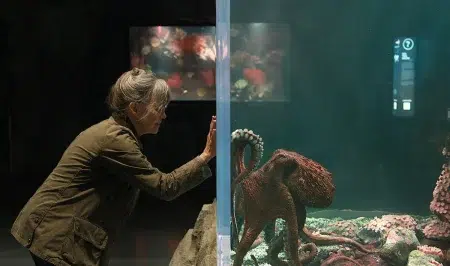 Qué ver en Netflix: 3 películas populares hoy Sally Field y un pulpo en Criaturas luminosas (2026)