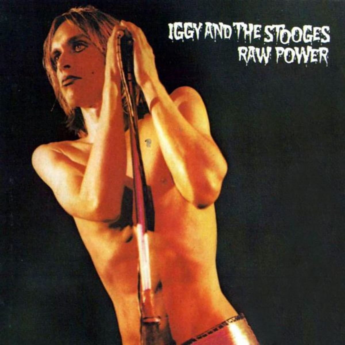 Raw Power de los Stooges