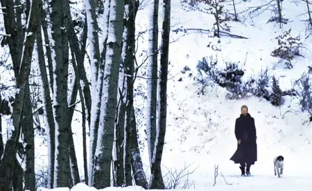4 grandes discos inspirados en el invierno Sting - If on a Winter's Night… (2009)