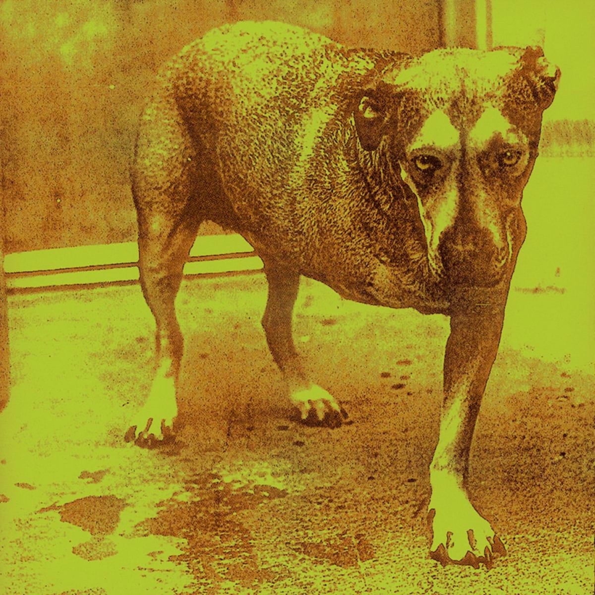 Alice in Chains – Alice in Chains (1995)