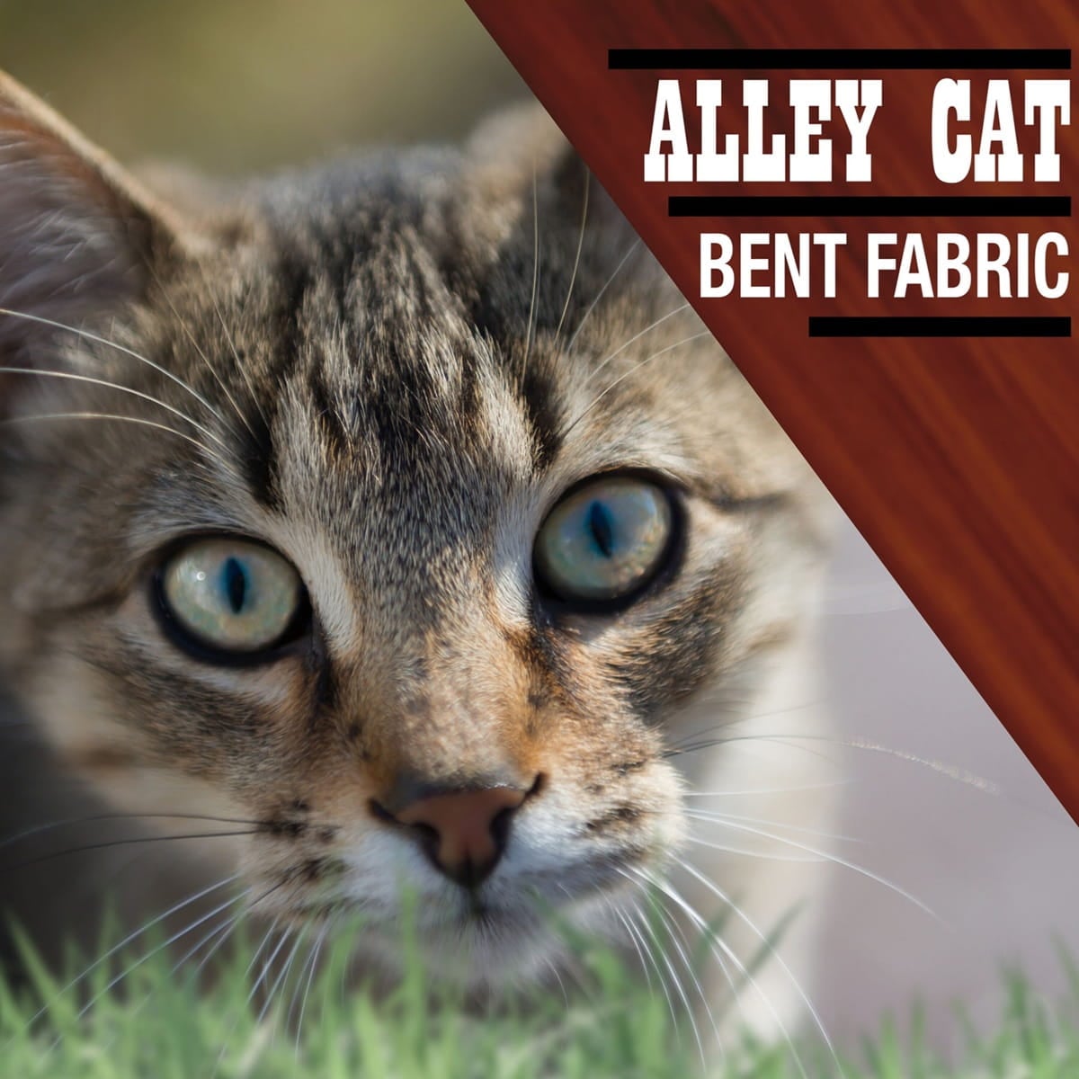 Bent Fabric – Alley Cat (1962)