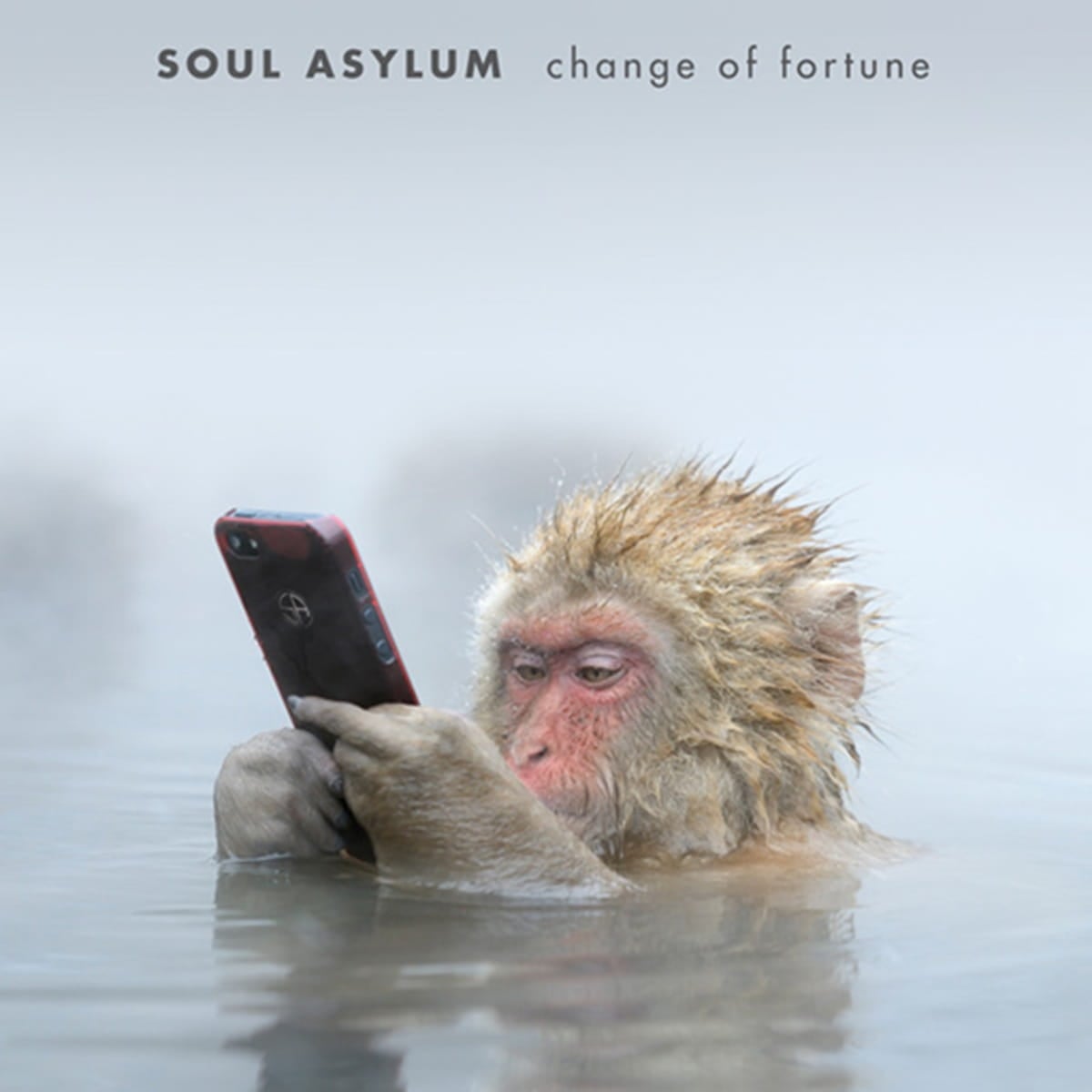 Soul Asylum - Change of Fortune (2016)