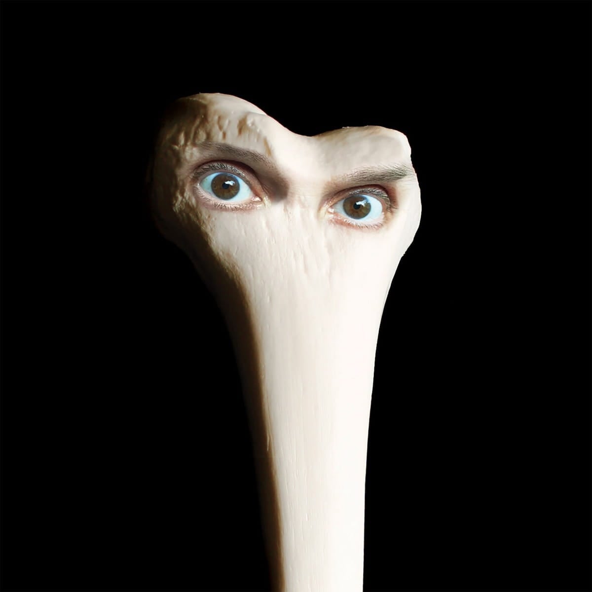 Halo de Juana Molina