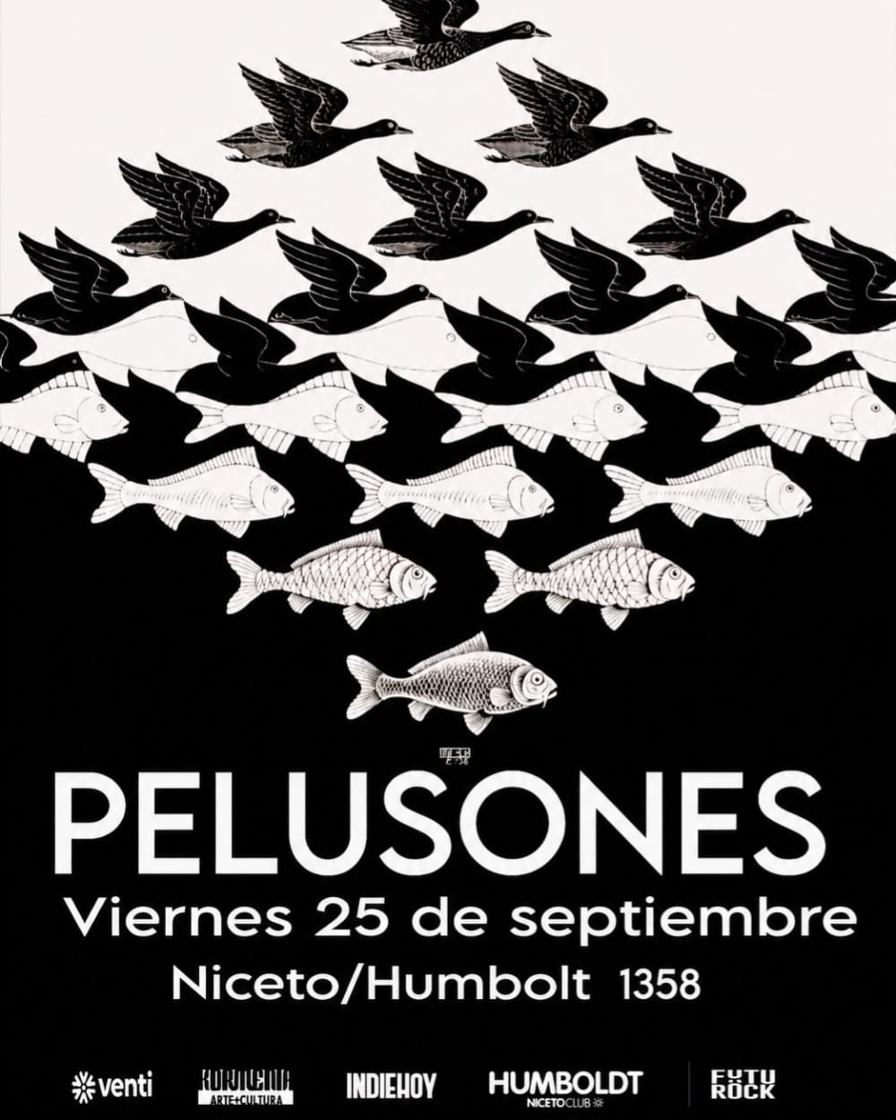 Pelusones en Humboldt (Niceto Club)