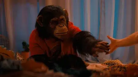 El chimpancé de la película Primate